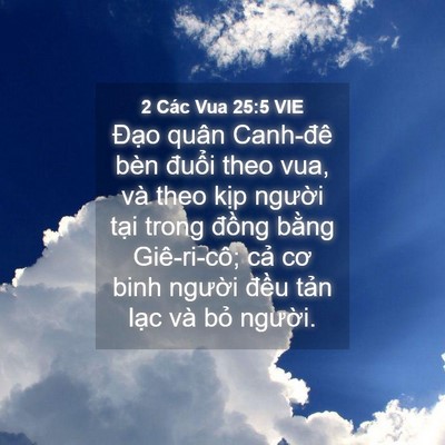 Picture 04 - 2 Các Vua 25:5 VIE - Đạo quân Canh-đê bèn đuổi theo vua, và - Bible Verse Picture