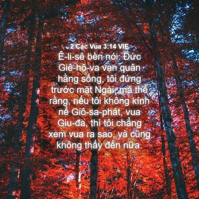 Picture 04 - 2 Các Vua 3:14 VIE - Ê-li-sê bèn nói: Đức Giê-hô-va vạn - Bible Verse Picture