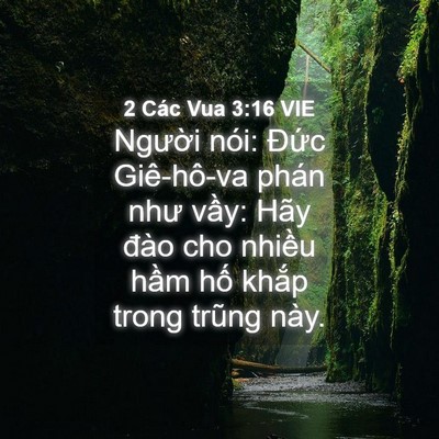 Picture 04 - 2 Các Vua 3:16 VIE - Người nói: Đức Giê-hô-va phán như - Bible Verse Picture