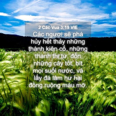 Picture 04 - 2 Các Vua 3:19 VIE - Các ngươi sẽ phá hủy hết thảy những - Bible Verse Picture