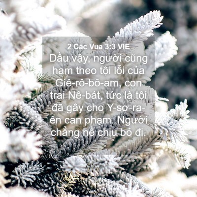 Picture 04 - 2 Các Vua 3:3 VIE - Dầu vậy, người cũng ham theo tội lỗi - Bible Verse Picture