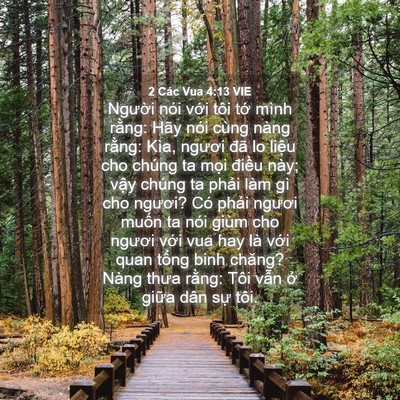 Picture 04 - 2 Các Vua 4:13 VIE - Người nói với tôi tớ mình rằng: Hãy - Bible Verse Picture