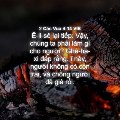 Picture 04 - 2 Các Vua 4:14 VIE - Ê-li-sê lại tiếp: Vậy, chúng ta phải - Bible Verse Picture