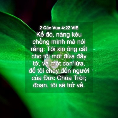 Picture 04 - 2 Các Vua 4:22 VIE - Kế đó, nàng kêu chồng mình mà nói - Bible Verse Picture