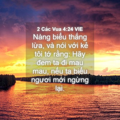 Picture 04 - 2 Các Vua 4:24 VIE - Nàng biểu thắng lừa, và nói với kẻ - Bible Verse Picture