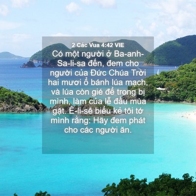 Picture 04 - 2 Các Vua 4:42 VIE - Có một người ở Ba-anh-Sa-li-sa đến, - Bible Verse Picture
