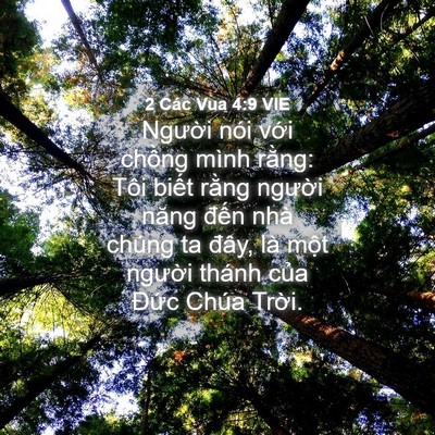 Picture 04 - 2 Các Vua 4:9 VIE - Người nói với chồng mình rằng: Tôi - Bible Verse Picture