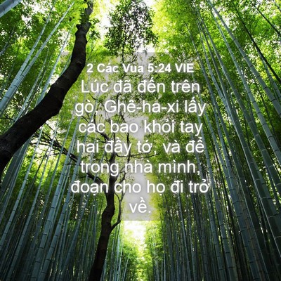 Picture 04 - 2 Các Vua 5:24 VIE - Lúc đã đến trên gò, Ghê-ha-xi lấy các - Bible Verse Picture