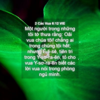 Picture 04 - 2 Các Vua 6:12 VIE - Một người trong những tôi tớ thưa - Bible Verse Picture