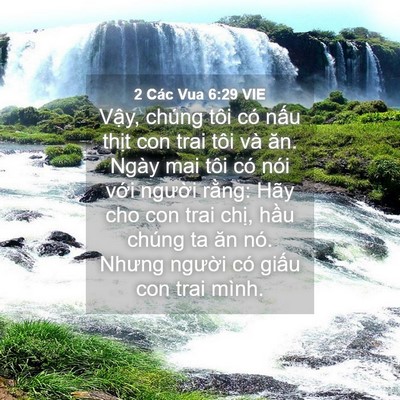 Picture 04 - 2 Các Vua 6:29 VIE - Vậy, chúng tôi có nấu thịt con trai tôi - Bible Verse Picture