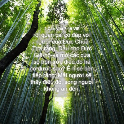 Picture 04 - 2 Các Vua 7:19 VIE - rồi quan cai có đáp với người của - Bible Verse Picture