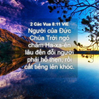 Picture 04 - 2 Các Vua 8:11 VIE - Người của Đức Chúa Trời ngó chăm - Bible Verse Picture