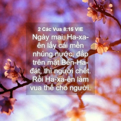 Picture 04 - 2 Các Vua 8:15 VIE - Ngày mai, Ha-xa-ên lấy cái mền nhúng - Bible Verse Picture
