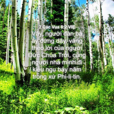 Picture 04 - 2 Các Vua 8:2 VIE - Vậy, người đàn bà ấy đứng dậy, - Bible Verse Picture