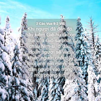 Picture 04 - 2 Các Vua 9:2 VIE - Khi ngươi đã đến đó, hãy kiếm Giê-hu - Bible Verse Picture