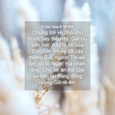 Picture 04 - 2 Các Vua 9:36 VIE - Chúng trở về cho chủ mình hay điều - Bible Verse Picture