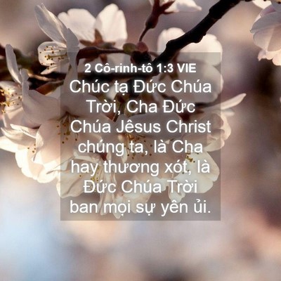 Picture 04 - 2 Cô-rinh-tô 1:3 VIE - Chúc tạ Đức Chúa Trời, Cha Đức Chúa - Bible Verse Picture
