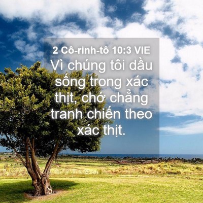 Picture 04 - 2 Cô-rinh-tô 10:3 VIE - Vì chúng tôi dầu sống trong xác thịt, - Bible Verse Picture