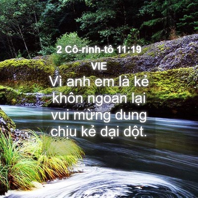 Picture 04 - 2 Cô-rinh-tô 11:19 VIE - Vì anh em là kẻ khôn ngoan lại vui mừng - Bible Verse Picture