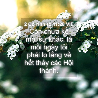 Picture 04 - 2 Cô-rinh-tô 11:28 VIE - Còn chưa kể mọi sự khác, là mỗi ngày - Bible Verse Picture