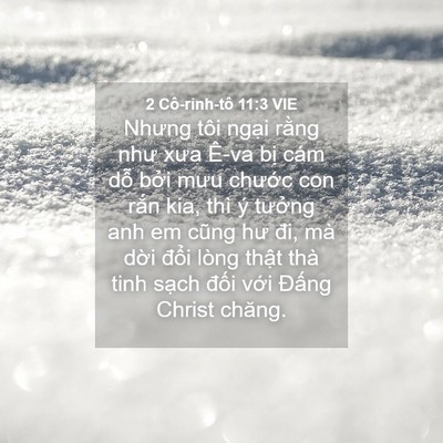 Picture 04 - 2 Cô-rinh-tô 11:3 VIE - Nhưng tôi ngại rằng như xưa Ê-va bị - Bible Verse Picture