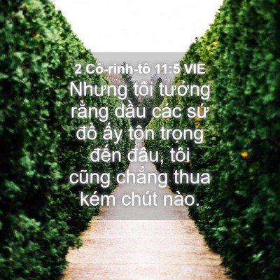 Picture 04 - 2 Cô-rinh-tô 11:5 VIE - Nhưng tôi tưởng rằng dầu các sứ đồ - Bible Verse Picture