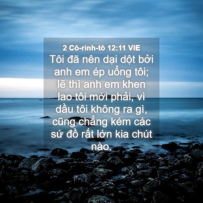 Picture 04 - 2 Cô-rinh-tô 12:11 VIE - Tôi đã nên dại dột bởi anh em ép - Bible Verse Picture
