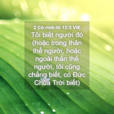 Picture 04 - 2 Cô-rinh-tô 12:3 VIE - Tôi biết người đó (hoặc trong thân - Bible Verse Picture