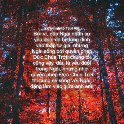 Picture 04 - 2 Cô-rinh-tô 13:4 VIE - Bởi vì, dầu Ngài nhân sự yếu đuối - Bible Verse Picture