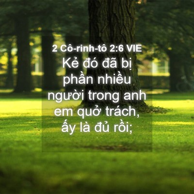 Picture 04 - 2 Cô-rinh-tô 2:6 VIE - Kẻ đó đã bị phần nhiều người trong - Bible Verse Picture