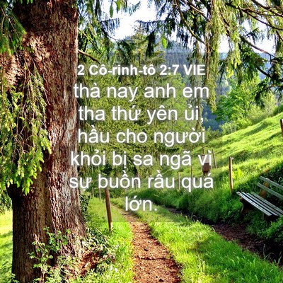 Picture 04 - 2 Cô-rinh-tô 2:7 VIE - thà nay anh em tha thứ yên ủi, hầu cho - Bible Verse Picture