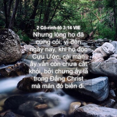 Picture 04 - 2 Cô-rinh-tô 3:14 VIE - Nhưng lòng họ đã cứng cỏi; vì đến - Bible Verse Picture