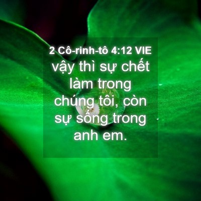 Picture 04 - 2 Cô-rinh-tô 4:12 VIE - vậy thì sự chết làm trong chúng tôi, - Bible Verse Picture