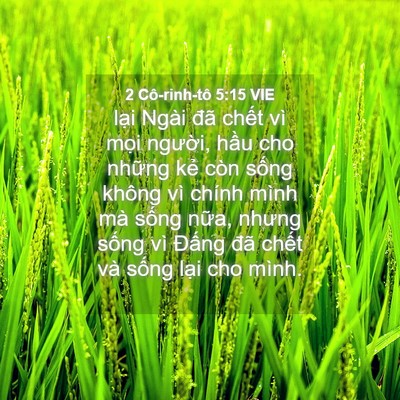 Picture 04 - 2 Cô-rinh-tô 5:15 VIE - lại Ngài đã chết vì mọi người, hầu - Bible Verse Picture