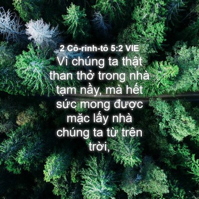 Picture 04 - 2 Cô-rinh-tô 5:2 VIE - Vì chúng ta thật than thở trong nhà tạm - Bible Verse Picture