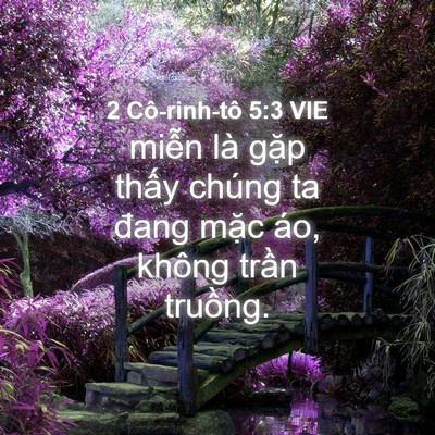 Picture 04 - 2 Cô-rinh-tô 5:3 VIE - miễn là gặp thấy chúng ta đang mặc - Bible Verse Picture