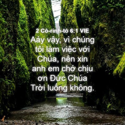 Picture 04 - 2 Cô-rinh-tô 6:1 VIE - Aáy vậy, vì chúng tôi làm việc với - Bible Verse Picture