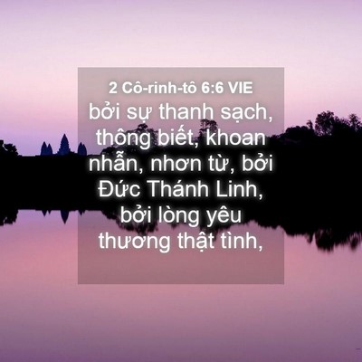 Picture 04 - 2 Cô-rinh-tô 6:6 VIE - bởi sự thanh sạch, thông biết, khoan - Bible Verse Picture