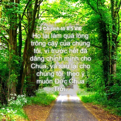 Picture 04 - 2 Cô-rinh-tô 8:5 VIE - Họ lại làm quá lòng trông cậy của - Bible Verse Picture