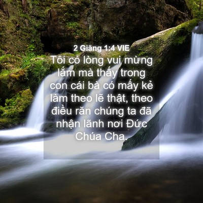 Picture 04 - 2 Giăng 1:4 VIE - Tôi có lòng vui mừng lắm mà thấy trong - Bible Verse Picture