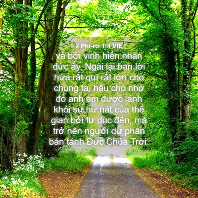 Picture 04 - 2 Phi-rơ 1:4 VIE - và bởi vinh hiển nhân đức ấy, Ngài - Bible Verse Picture