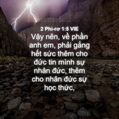 Picture 04 - 2 Phi-rơ 1:5 VIE - Vậy nên, về phần anh em, phải gắng - Bible Verse Picture
