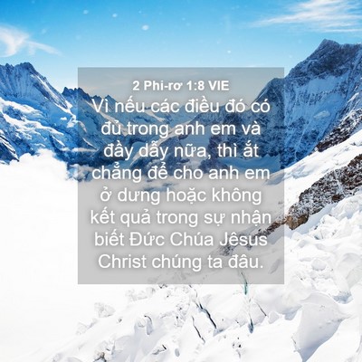 Picture 04 - 2 Phi-rơ 1:8 VIE - Vì nếu các điều đó có đủ trong anh - Bible Verse Picture