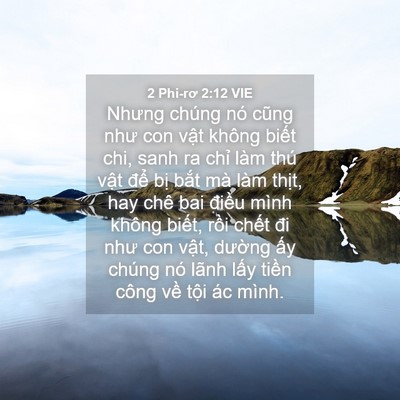 Picture 04 - 2 Phi-rơ 2:12 VIE - Nhưng chúng nó cũng như con vật không - Bible Verse Picture