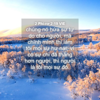 Picture 04 - 2 Phi-rơ 2:19 VIE - chúng nó hứa sự tự do cho người, mà - Bible Verse Picture