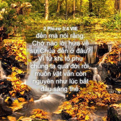 Picture 04 - 2 Phi-rơ 3:4 VIE - đến mà nói rằng: Chớ nào lời hứa - Bible Verse Picture