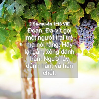Picture 04 - 2 Sa-mu-ên 1:16 VIE - Đoạn, Đa-vít gọi một người trai trẻ - Bible Verse Picture