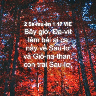 Picture 04 - 2 Sa-mu-ên 1:17 VIE - Bây giờ, Đa-vít làm bài ai ca nầy về - Bible Verse Picture