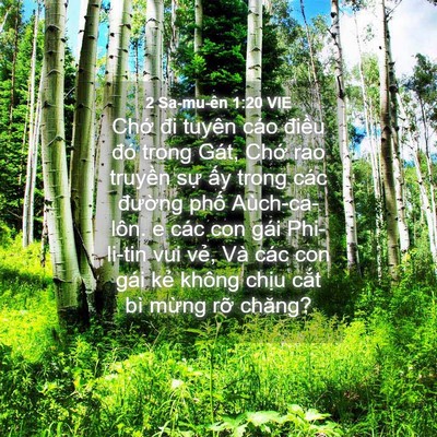 Picture 04 - 2 Sa-mu-ên 1:20 VIE - Chớ đi tuyên cáo điều đó trong Gát, - Bible Verse Picture