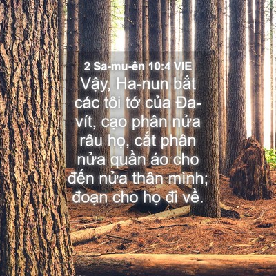 Picture 04 - 2 Sa-mu-ên 10:4 VIE - Vậy, Ha-nun bắt các tôi tớ của - Bible Verse Picture